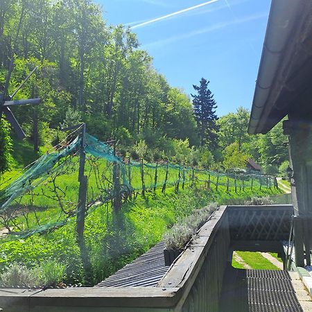 Das Altsteirische Landhaus - La Maison De Pronegg - Feriendomizil Im Biosphaerenpark Wienerwald Pressbaum Zewnętrze zdjęcie