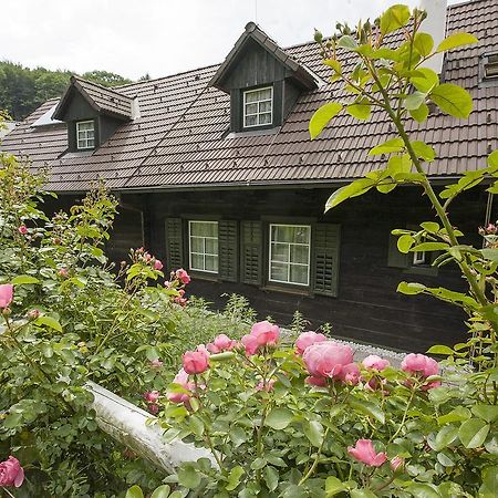 Das Altsteirische Landhaus - La Maison De Pronegg - Feriendomizil Im Biosphaerenpark Wienerwald Pressbaum Pokój zdjęcie