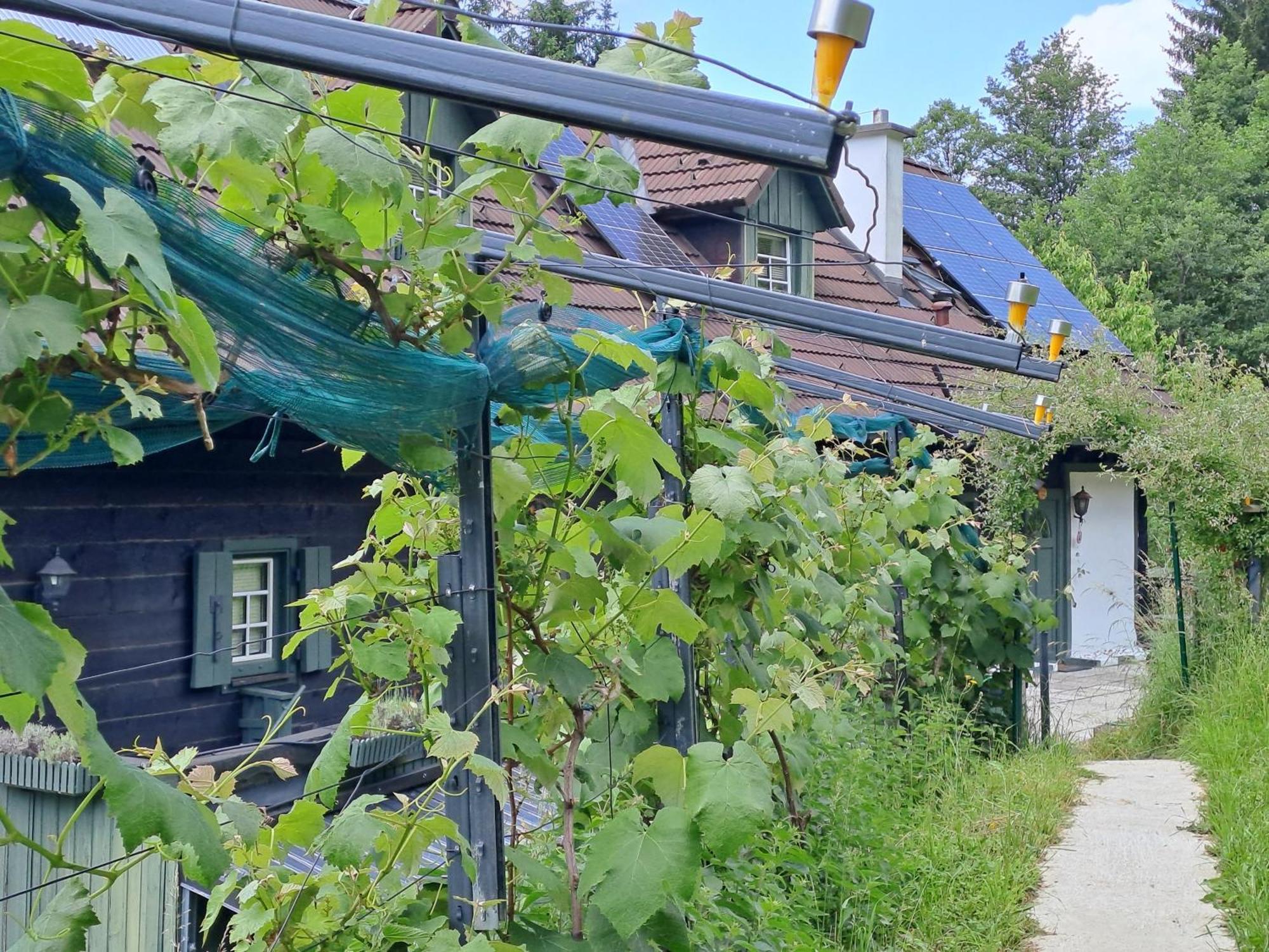 Das Altsteirische Landhaus - La Maison De Pronegg - Feriendomizil Im Biosphaerenpark Wienerwald Pressbaum Zewnętrze zdjęcie