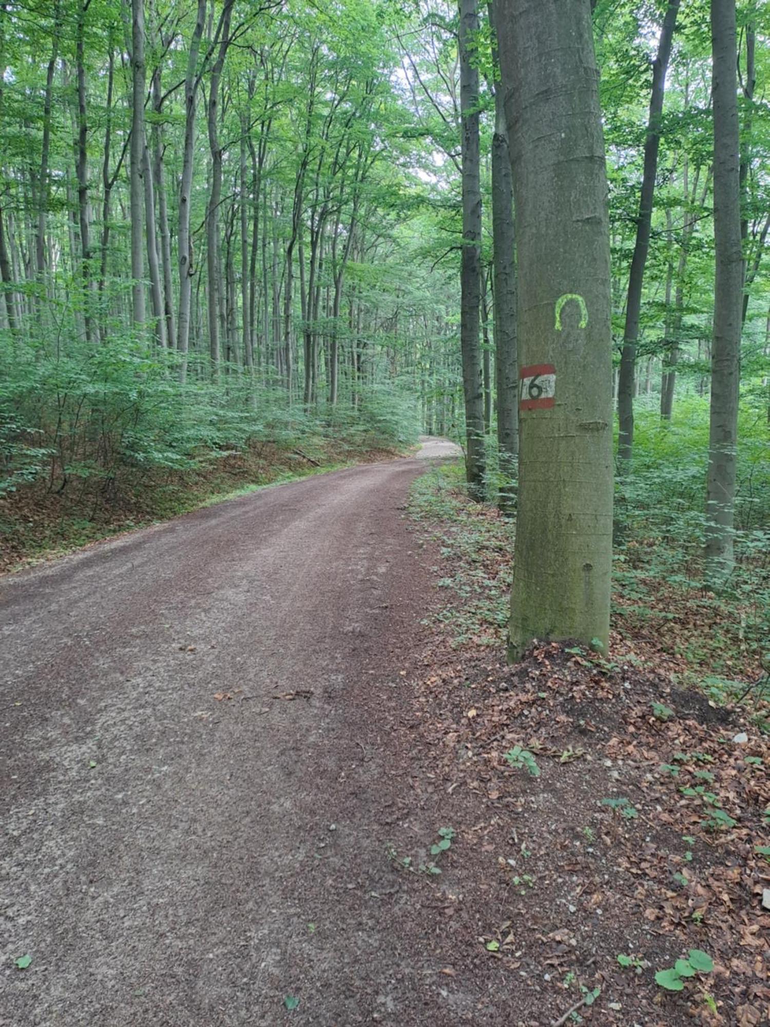 Das Altsteirische Landhaus - La Maison De Pronegg - Feriendomizil Im Biosphaerenpark Wienerwald Pressbaum Zewnętrze zdjęcie