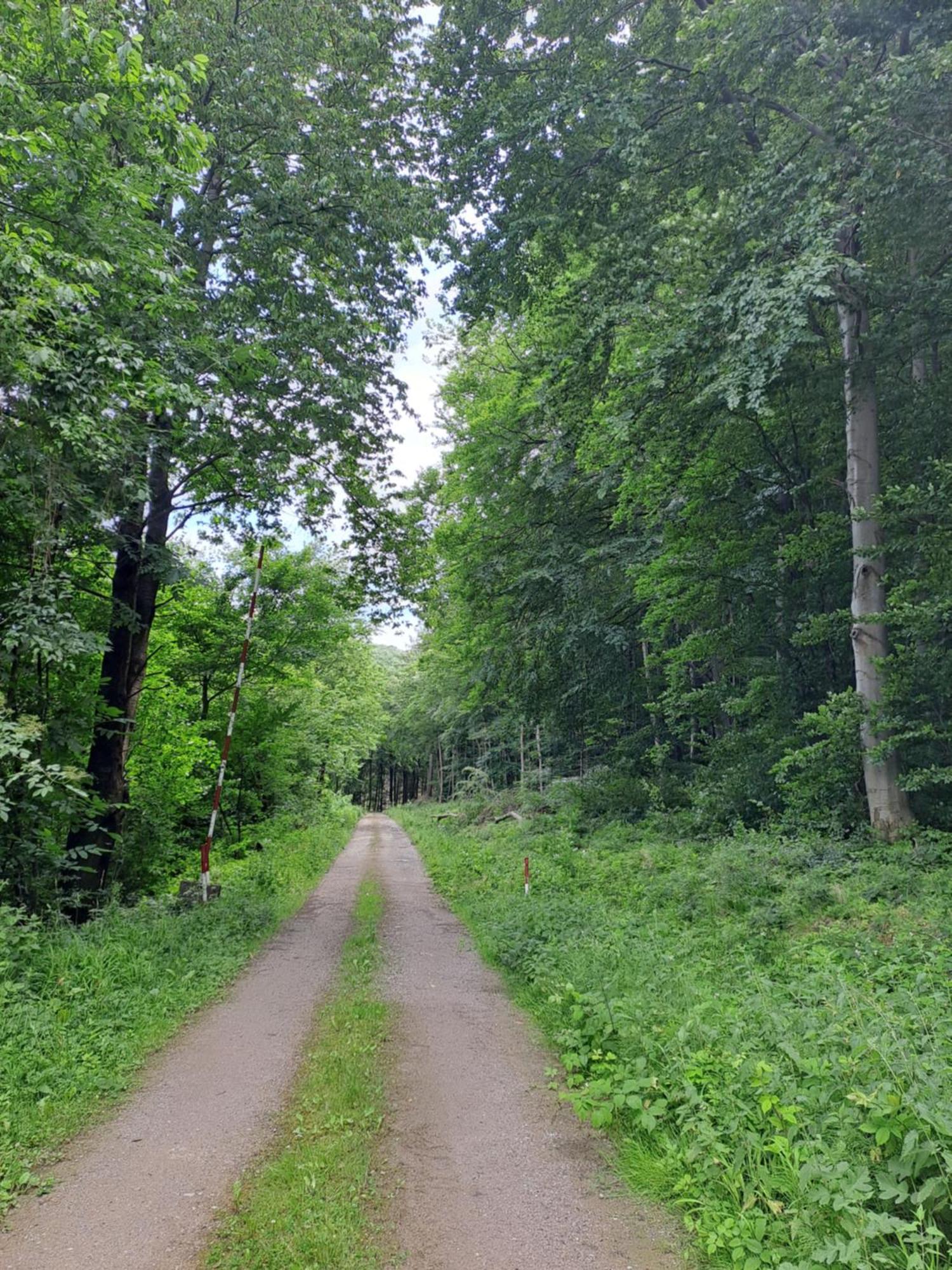 Das Altsteirische Landhaus - La Maison De Pronegg - Feriendomizil Im Biosphaerenpark Wienerwald Pressbaum Zewnętrze zdjęcie