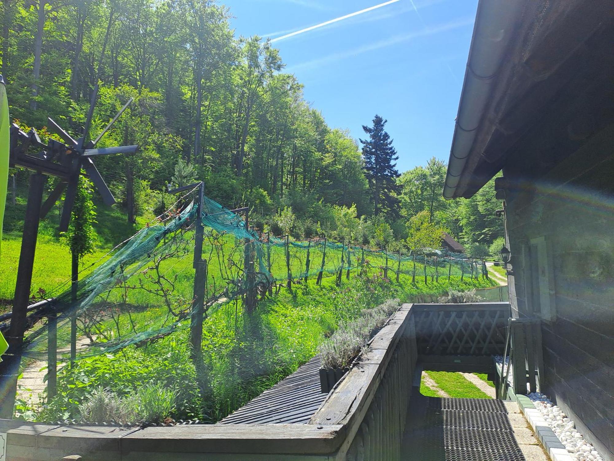 Das Altsteirische Landhaus - La Maison De Pronegg - Feriendomizil Im Biosphaerenpark Wienerwald Pressbaum Zewnętrze zdjęcie